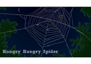 Hungry hungry spider4