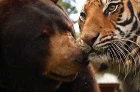 Imagine stories told in virtual reality