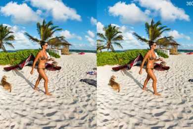 Caribbean VR Google Cardboard